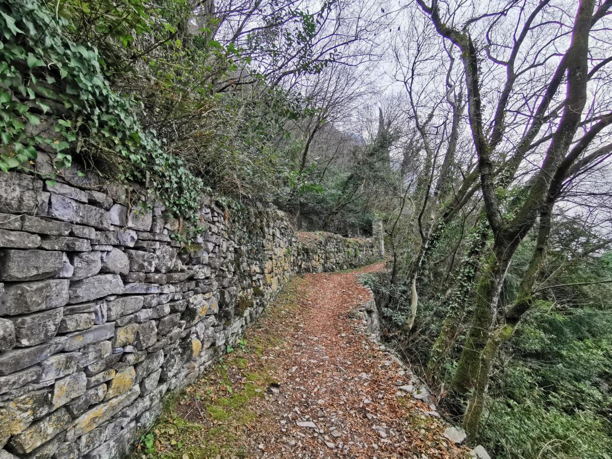 Near Villa Monastero&Castello di Vezio Varenna Esterno foto